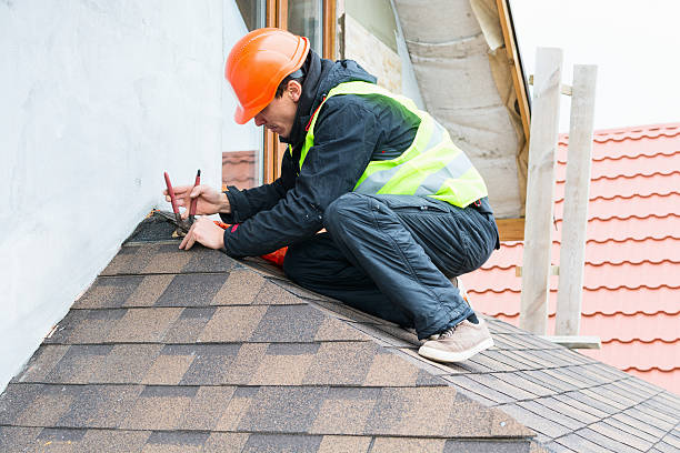 Roof Gutter Cleaning in Bayonet Point, FL